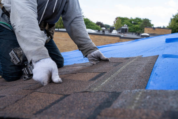Best Rubber Roofing (EPDM, TPO)  in Pearl River, MS